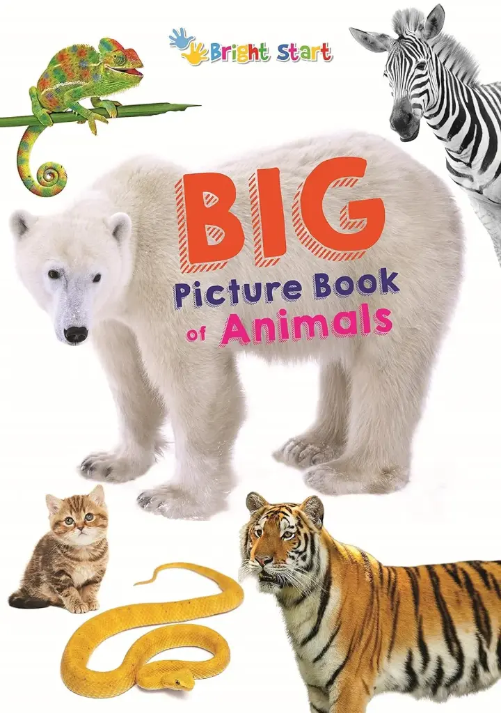 Big Picture Book Of Animals